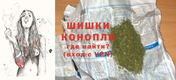 МДПВ Шали